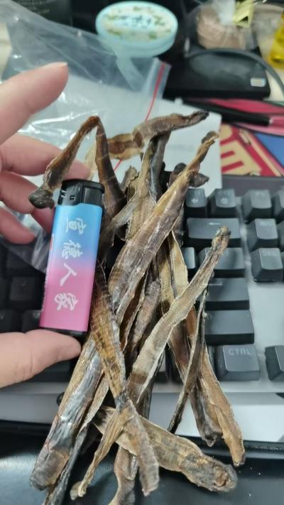 野生地龙干片
