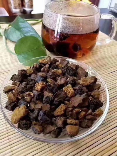 桦树茸