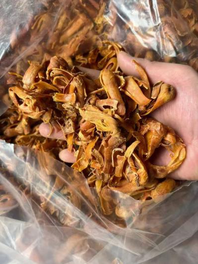 玉果花