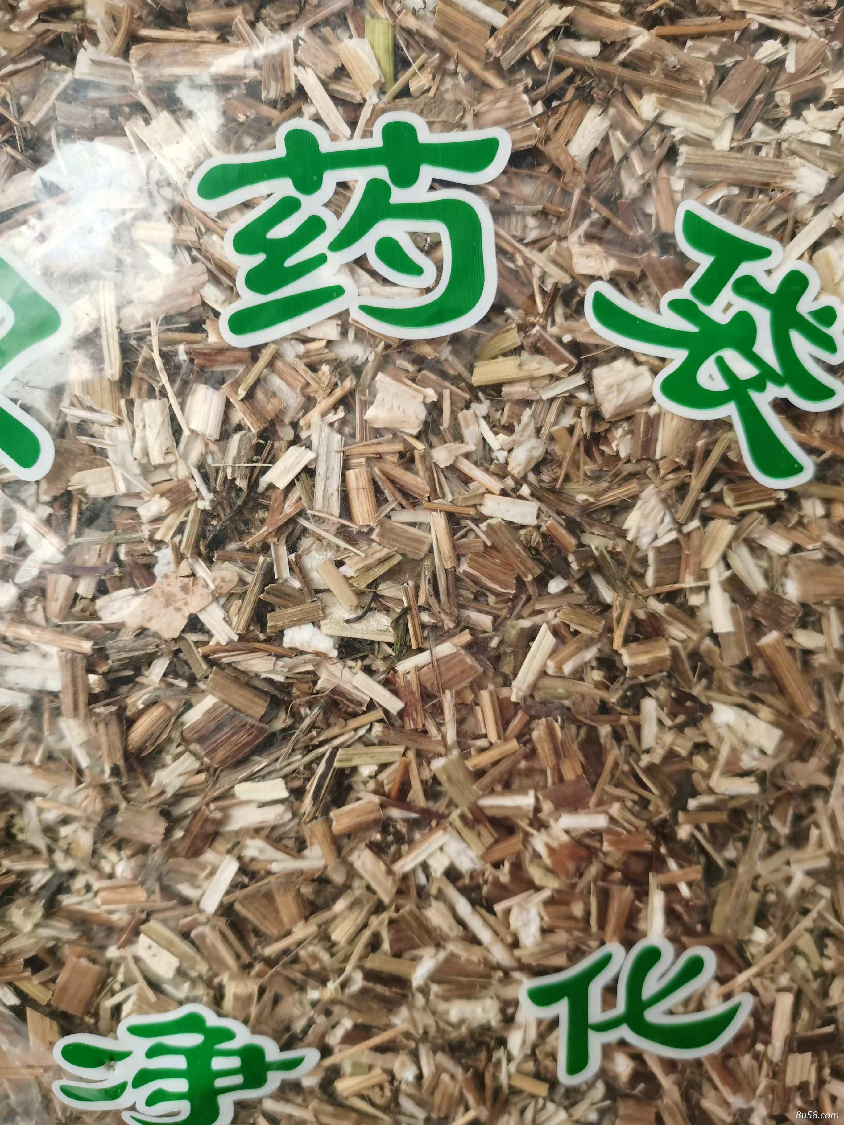 鬼针草