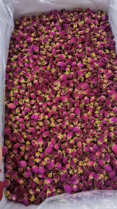 玫瑰花