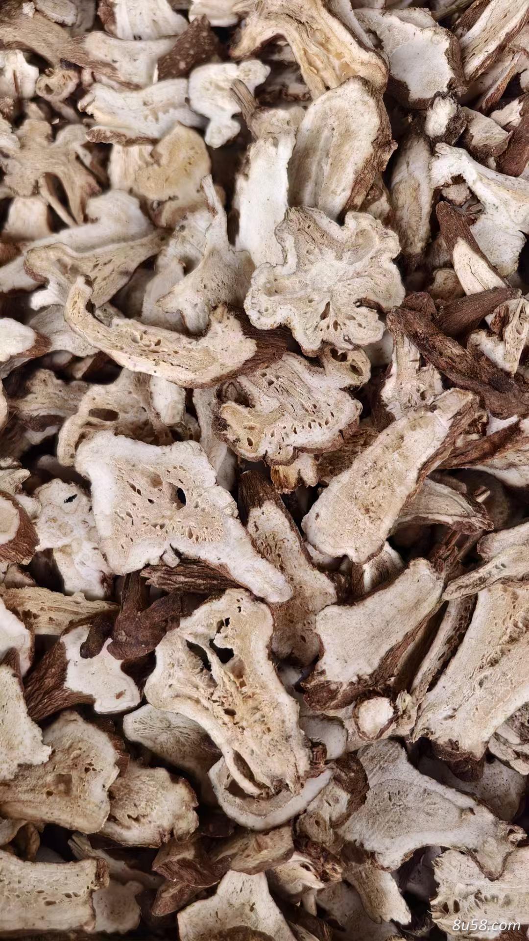 白术
