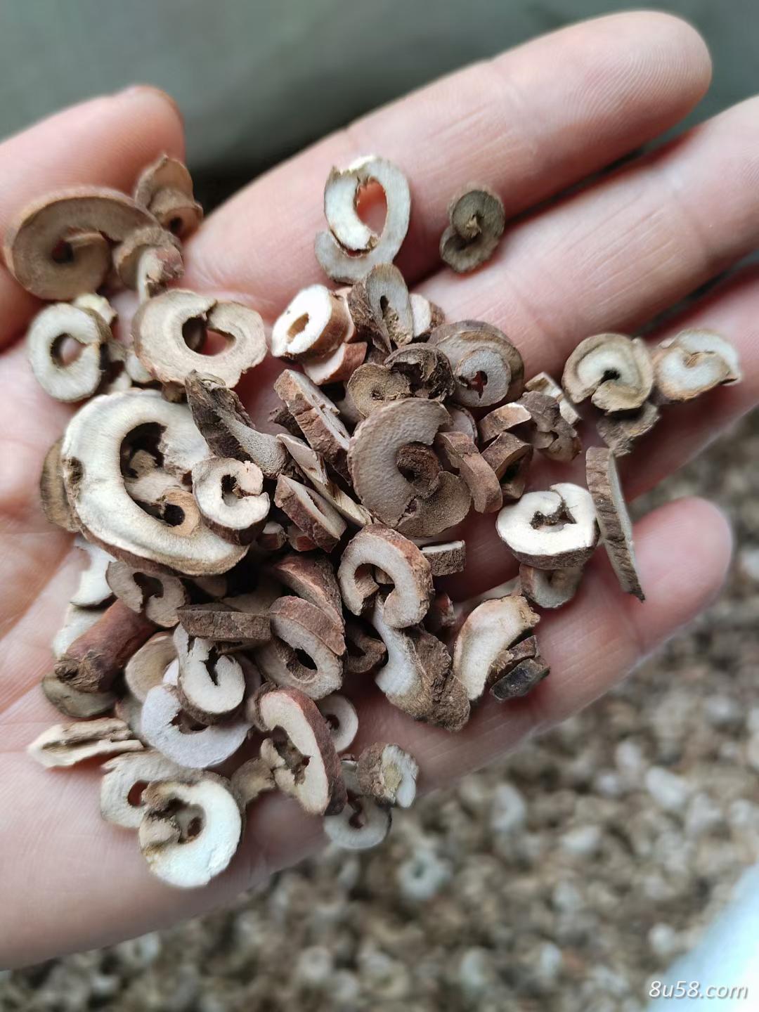 粉丹皮