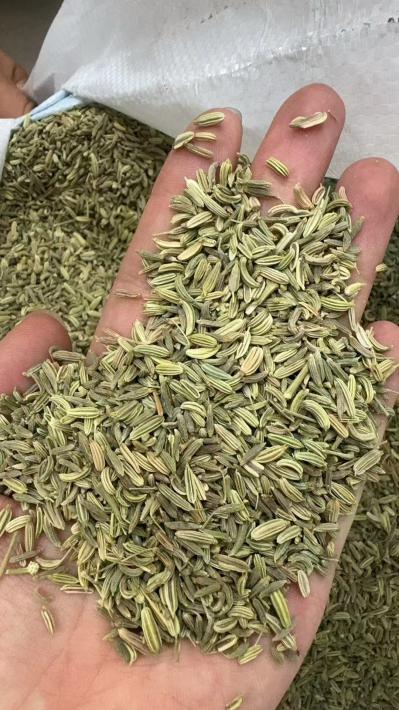 小茴香籽
