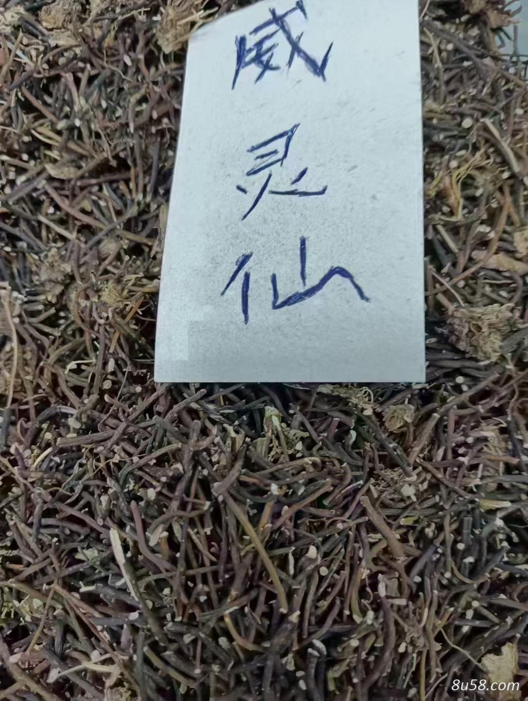 威灵仙
