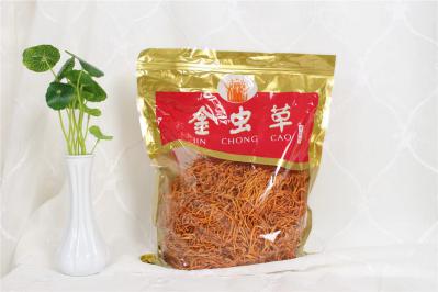 金虫草