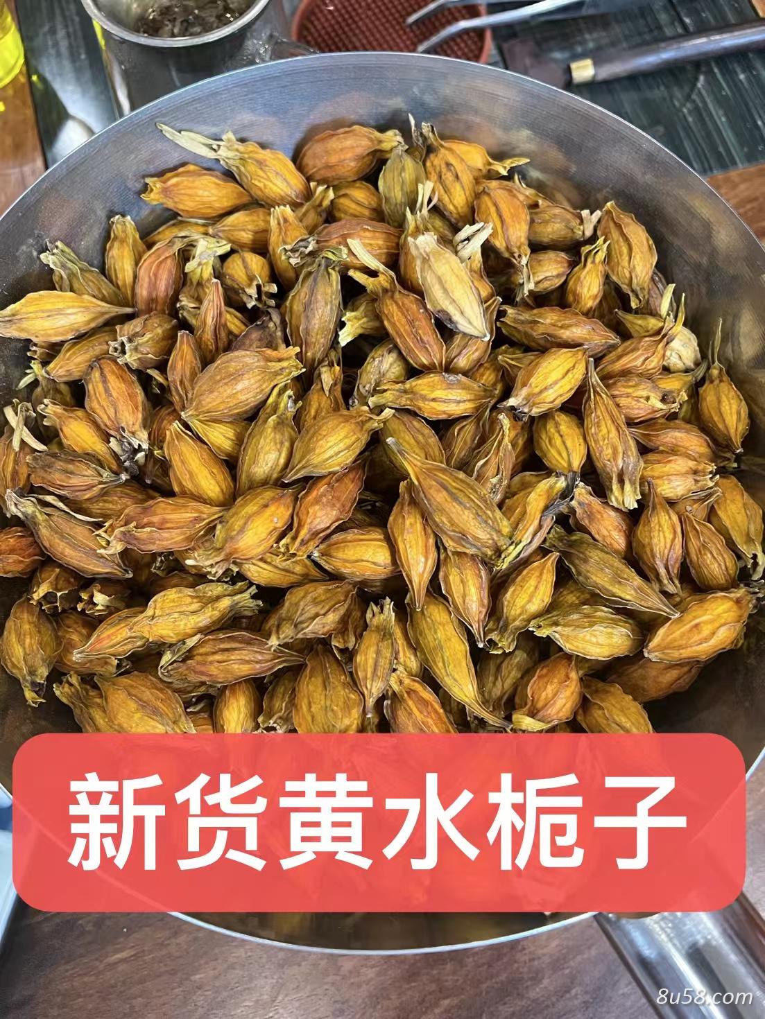 栀子