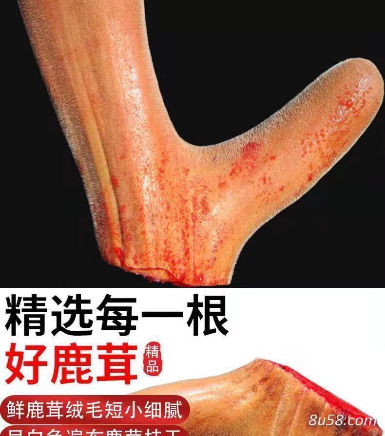 梅花鹿茸二杠