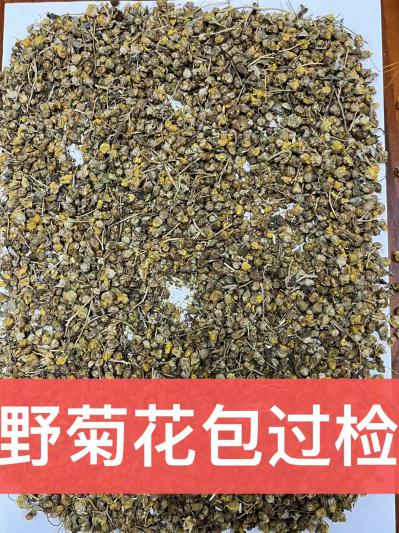 野菊花