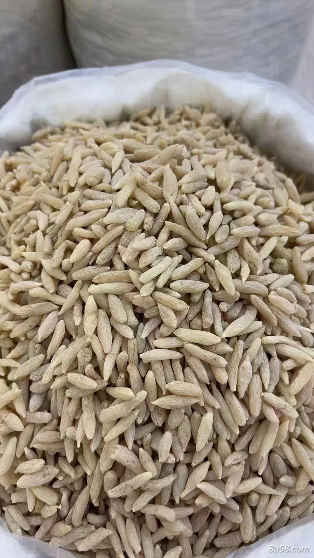 麦冬