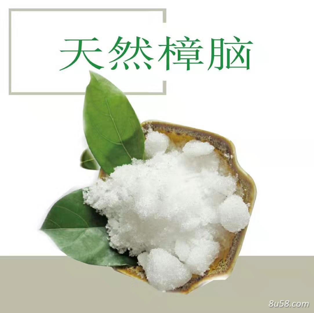 樟脑，樟脑粉