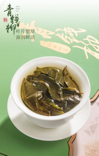 青钱柳