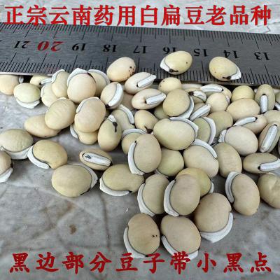 白扁豆