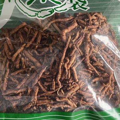 蜜远志