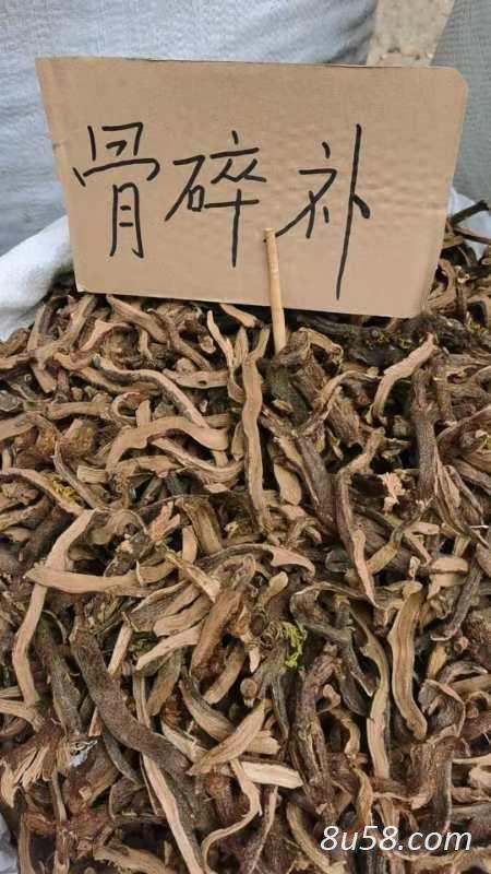 骨碎补