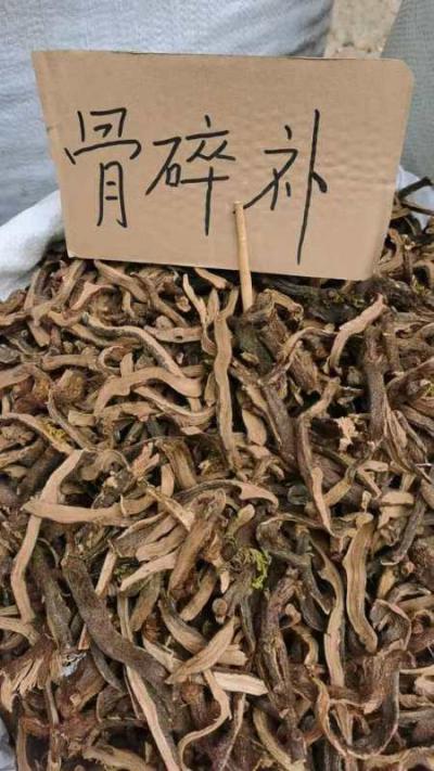 骨碎补
