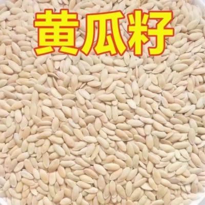 出售黄瓜籽可以磨粉 东北旱黄瓜哪里能买到？旱黄瓜多少钱？