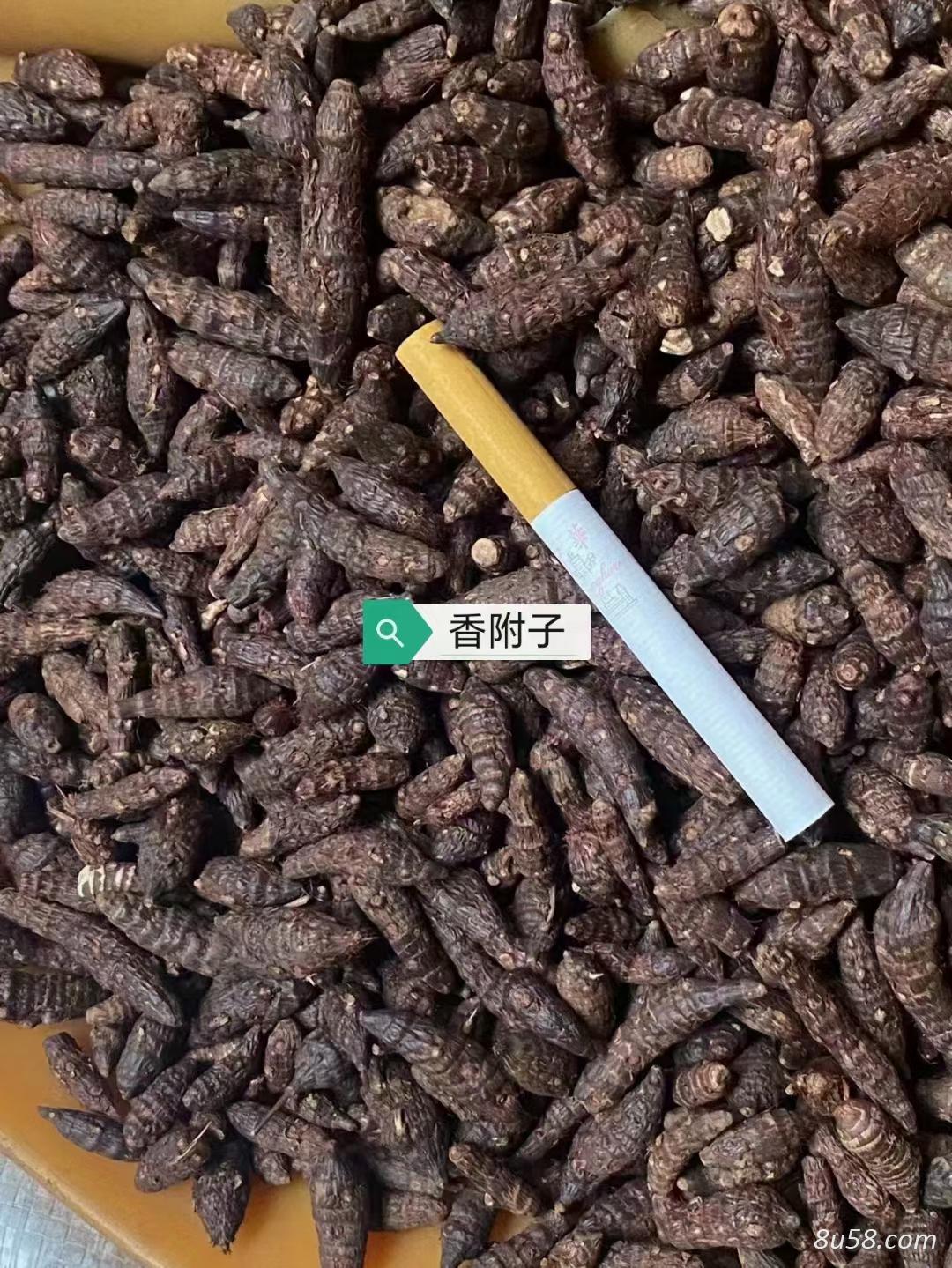 香附