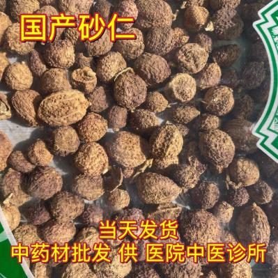 砂仁