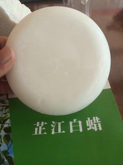 芷江白蜡