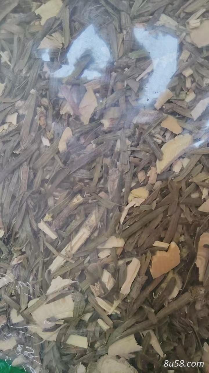 树舌