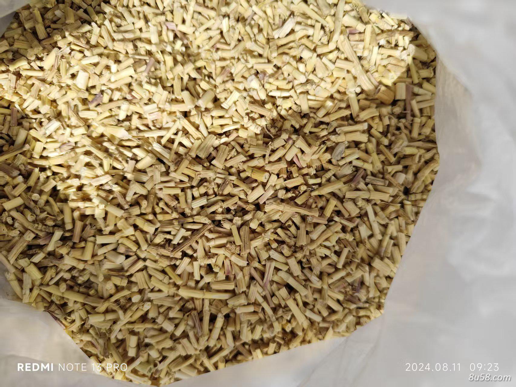 白茅根