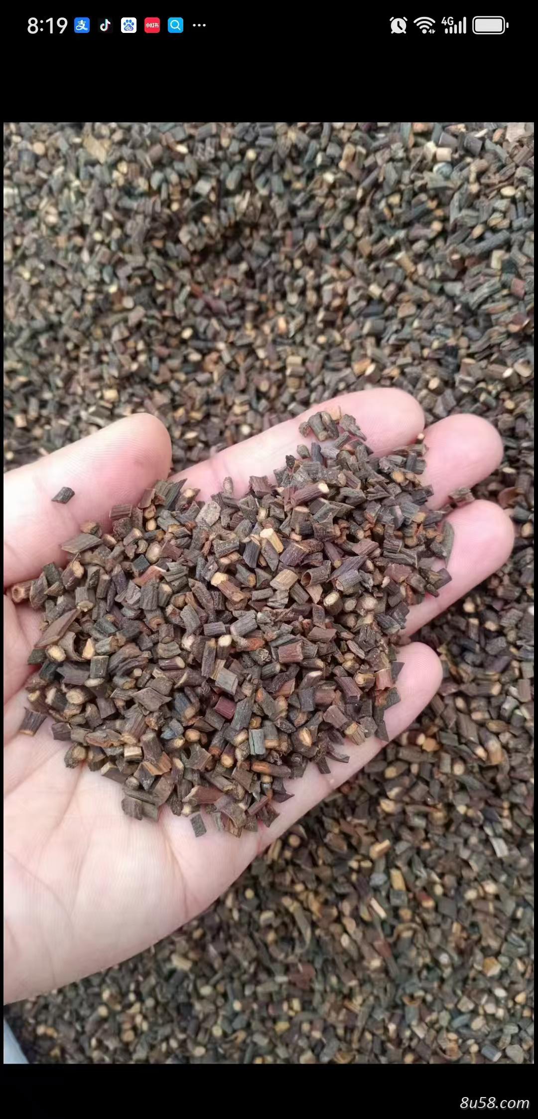 桂枝哪里有卖的，桂枝一斤多少钱 什么样的桂枝药效好