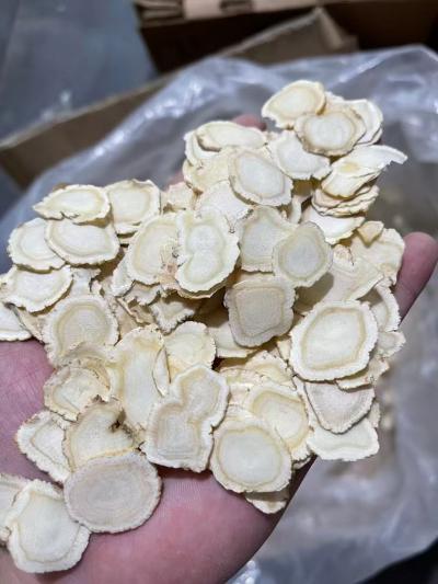 人参有什么功效作用 人参泡水喝可以吗？我要买真人参价格多少