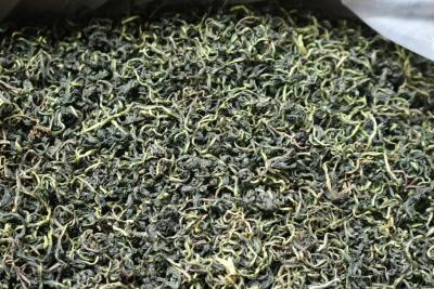 蒲公英叶茶