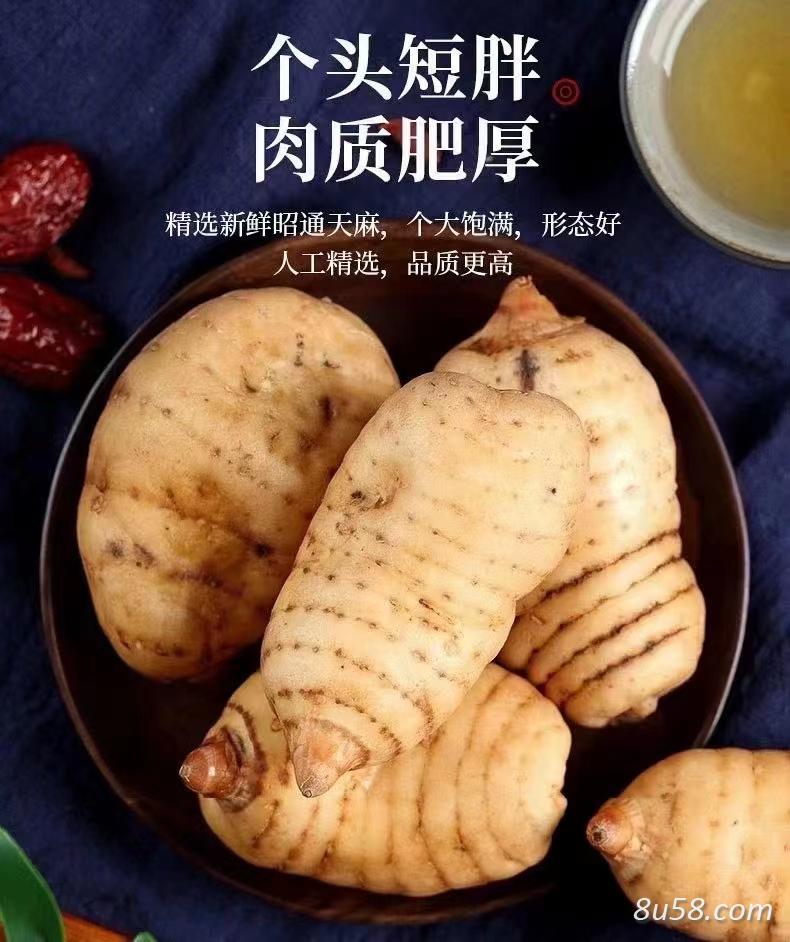 鲜天麻