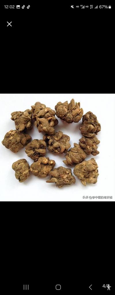 大量出售猫爪草以及种子，家种水洗两遍过筛。产地直销。