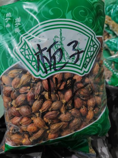 中药栀子现在什么价格？哪里产的栀子好？栀子出售 栀子产地