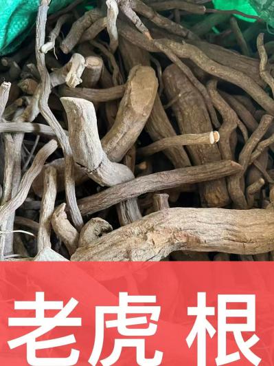 老虎根