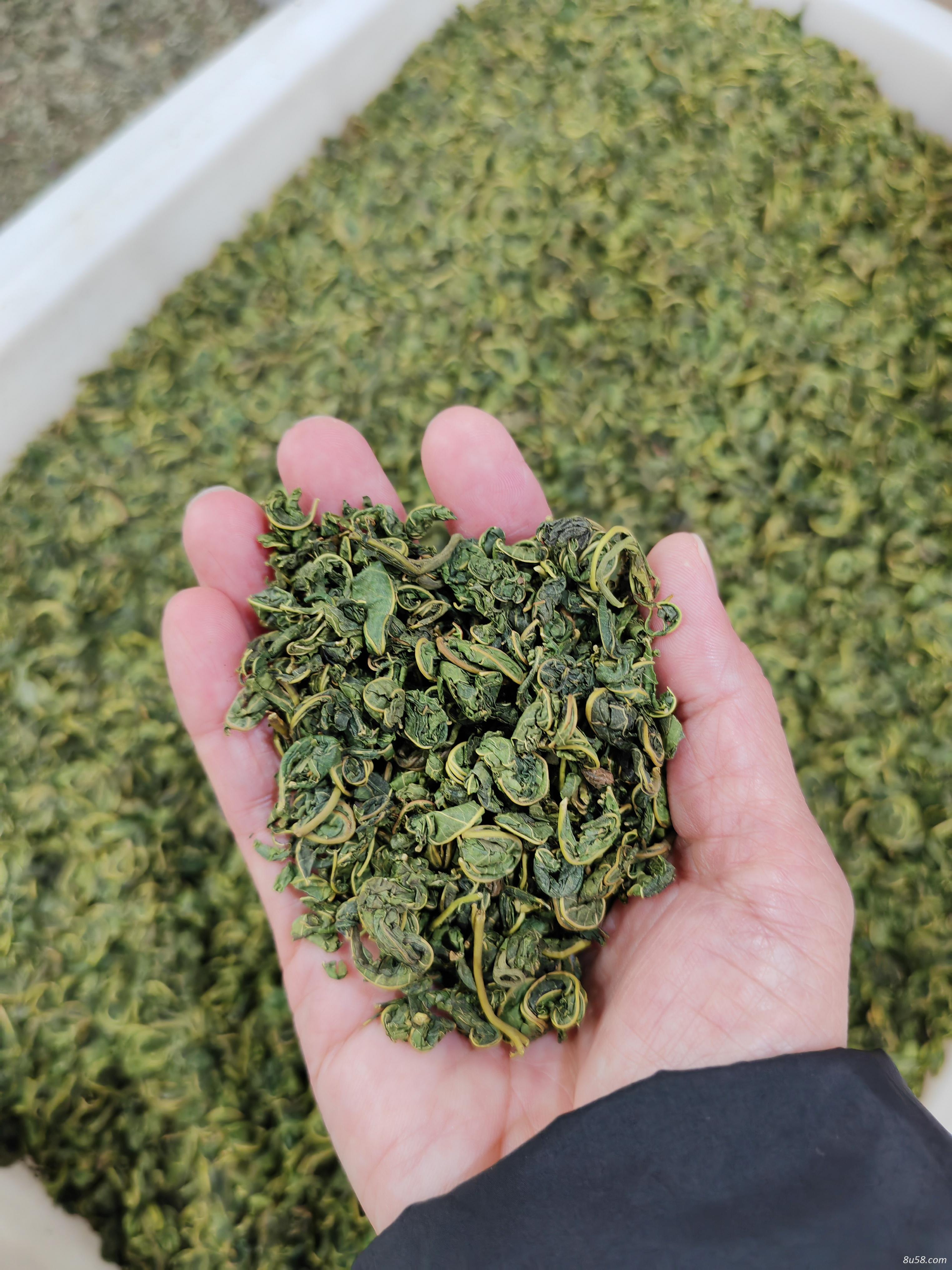 桑叶茶