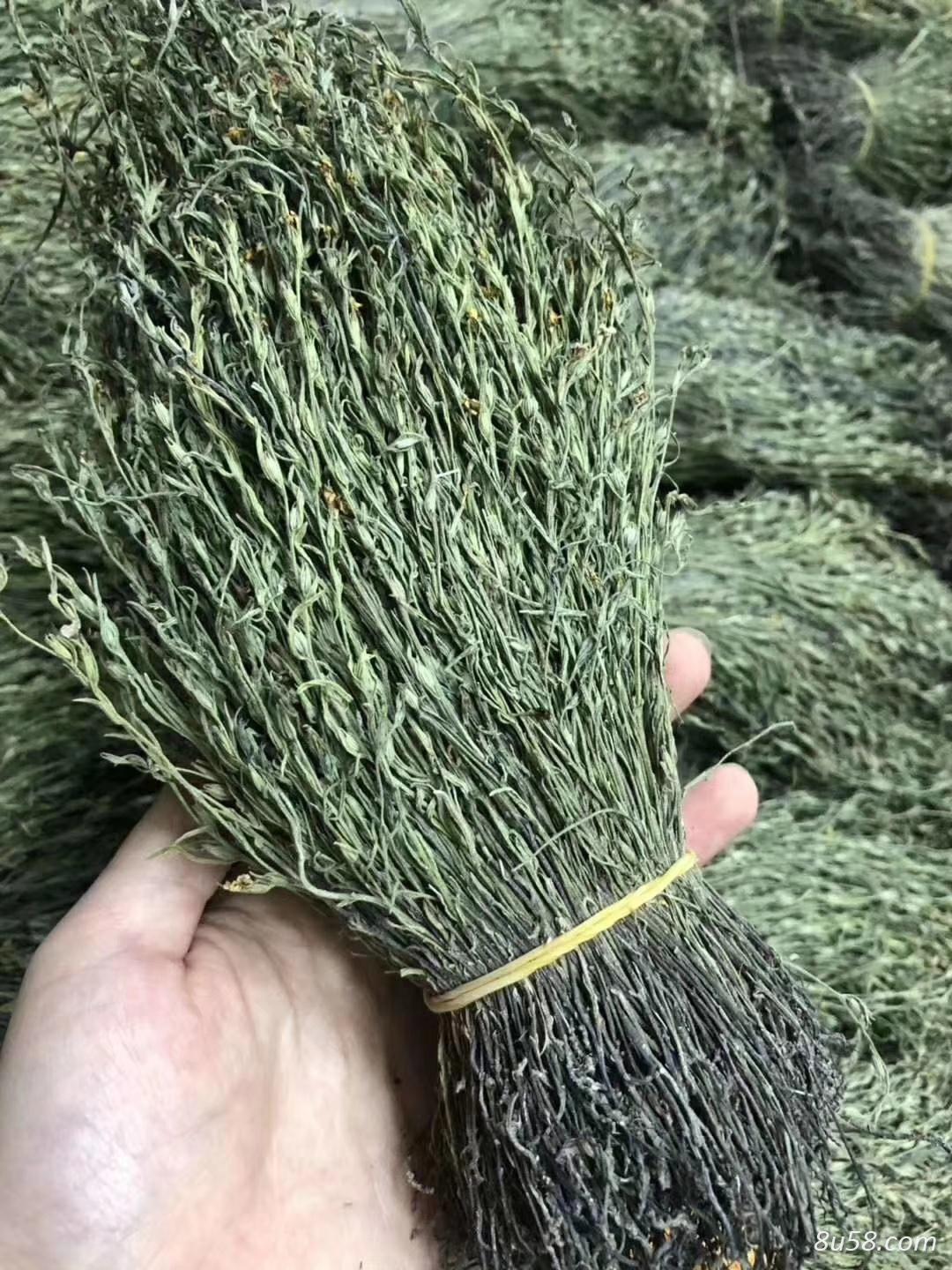 独脚金