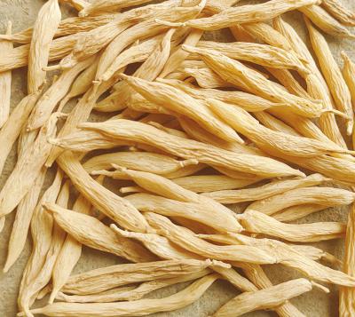 野生麦冬