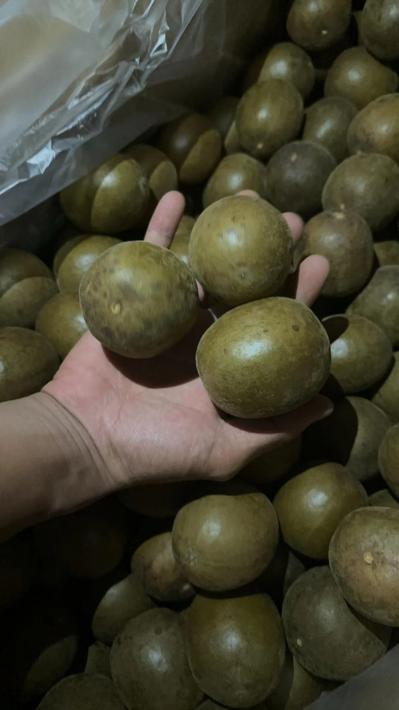 罗汉果