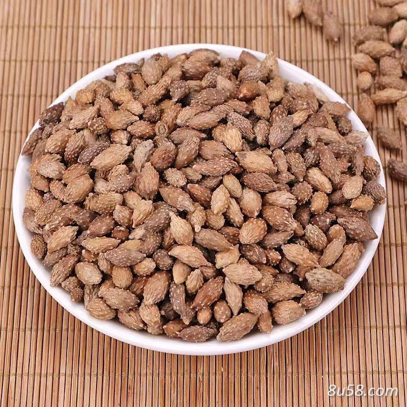 苍耳子