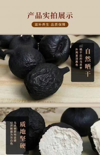 乌灵参