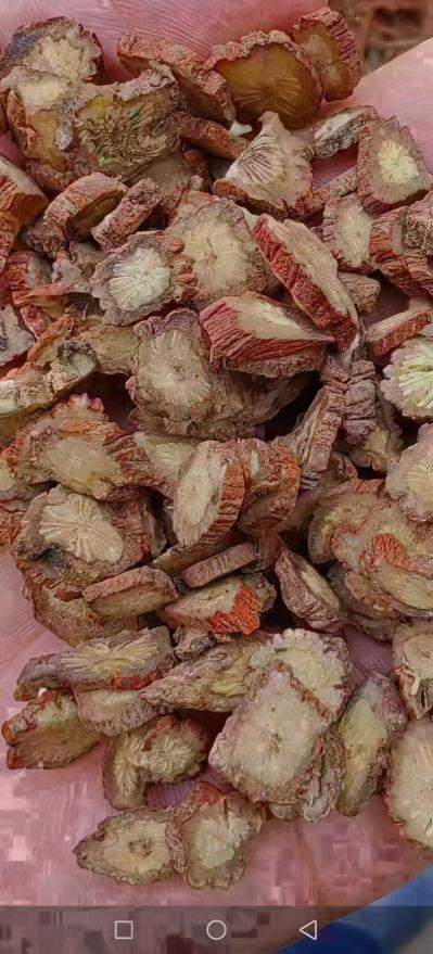 丹参怎么用效果好？哪种丹参可以直接泡水喝？如何辨别丹参好坏
