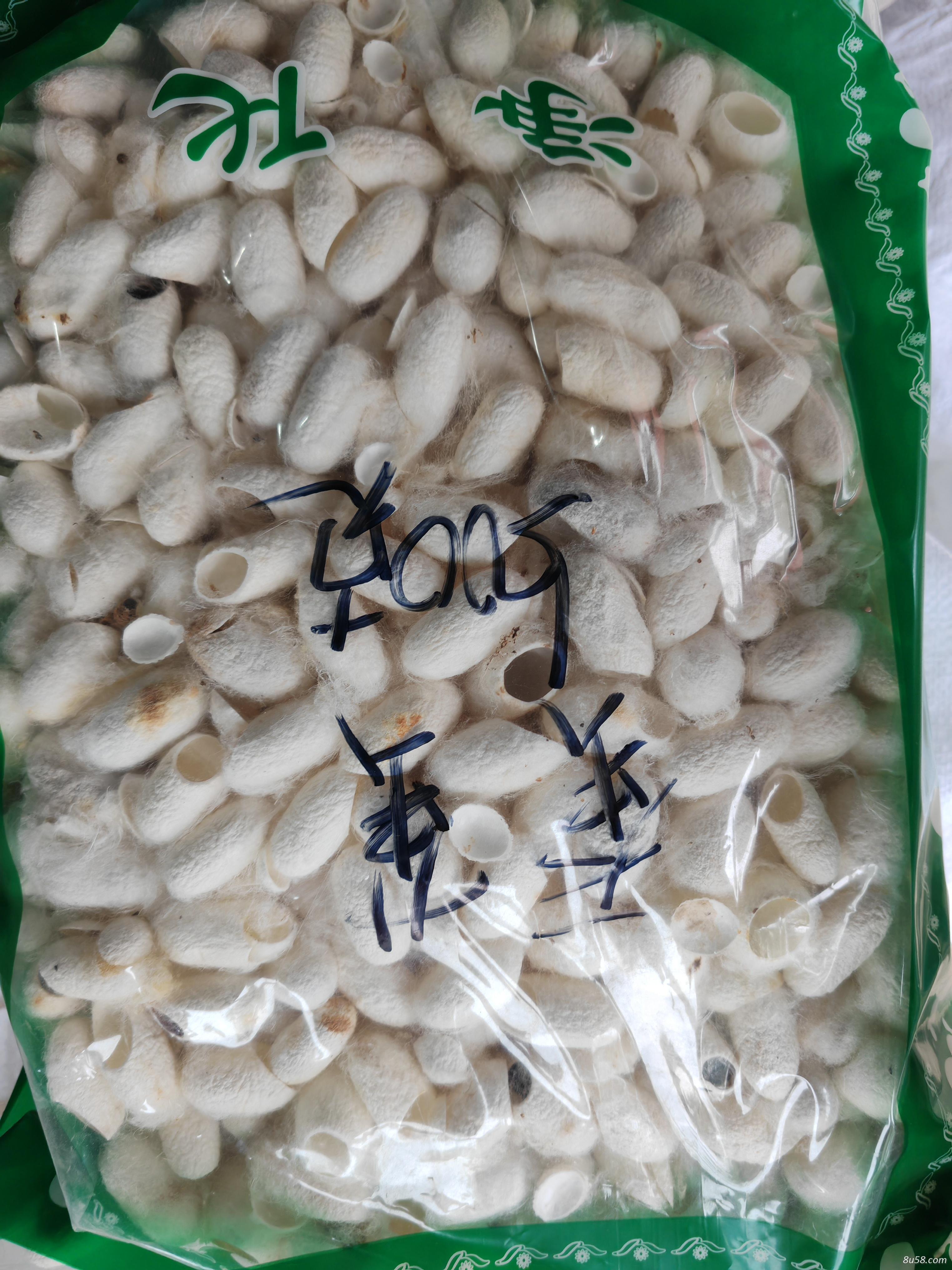 蚕茧如何入药？蚕茧一克多少钱？蚕茧的产地是哪里？哪里能买到真的蚕茧