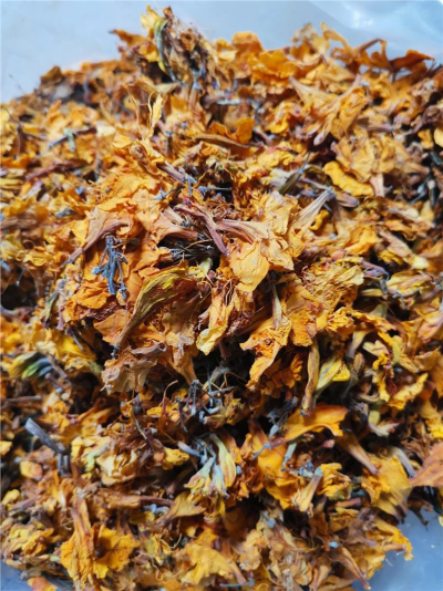 闹羊花哪里有卖 哪里能买到中药闹羊花价格