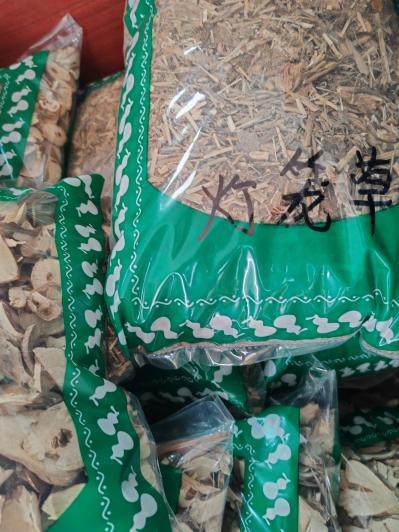 灯楼草