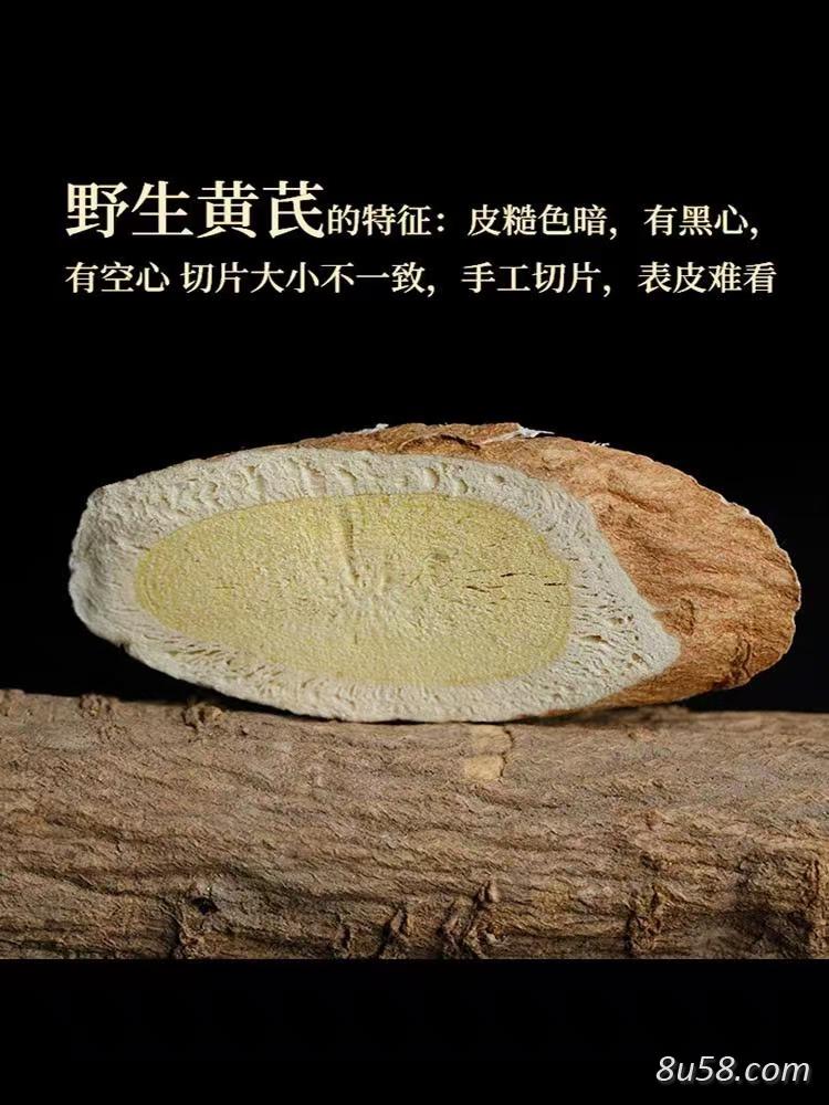 野生黄芪