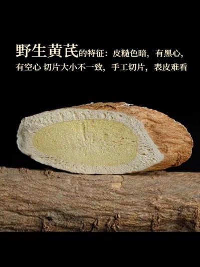 野生黄芪