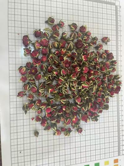 金边玫瑰