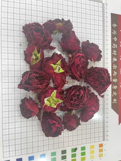 墨红玫瑰