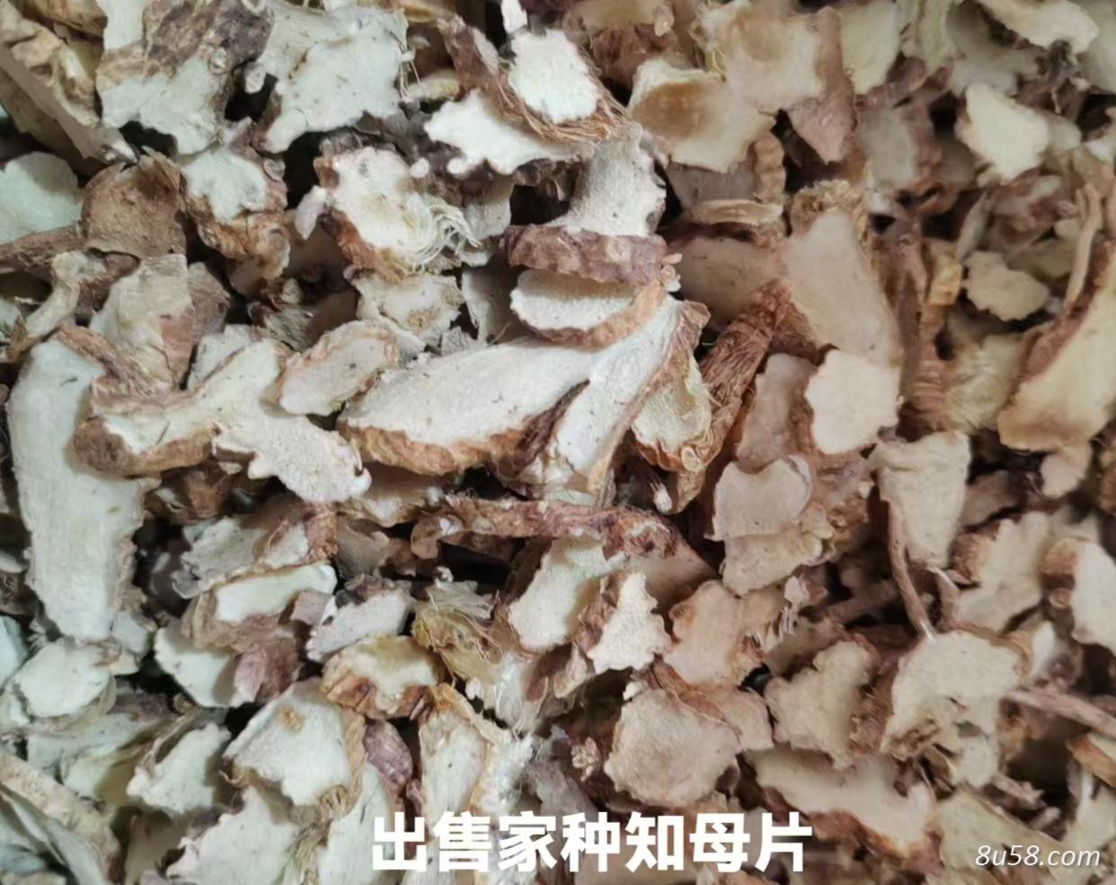 知母