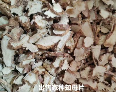 知母