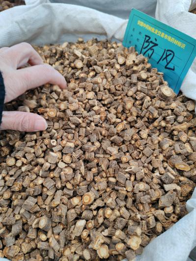 防风